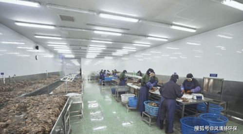 食品工業(yè)廢水除臭劑的使用方式及其在廣東省基礎電信業(yè)務中的潛在應用